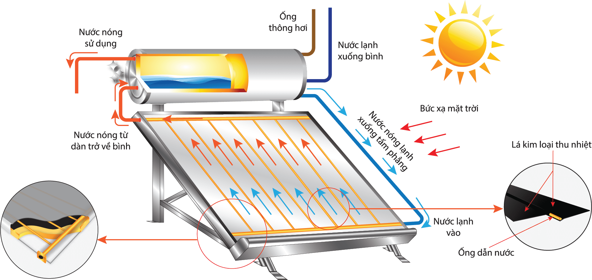 Máy nước nóng NLượng mặt trời 220L Đại Thành PLATINUM -SUS304